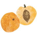 Albaricoque