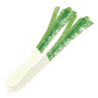 Calçot