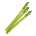Espárrago