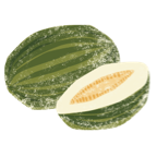 Melón
